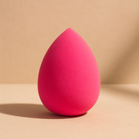 Makeup Perfecting Application Blender