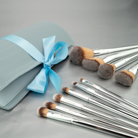 Set of 12 Brush Set With Case