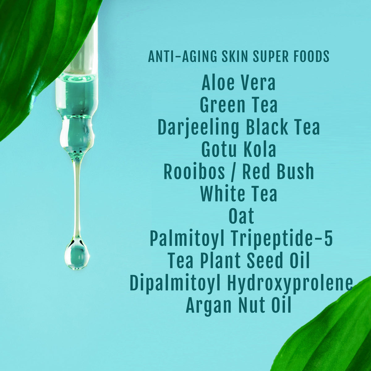 Triple Tea & Argan Anti Aging Serum